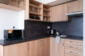 Studio apartment in Brno-center